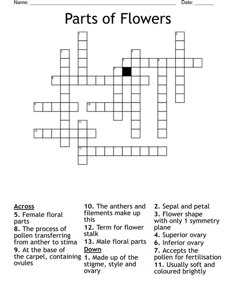 the future flower crossword.